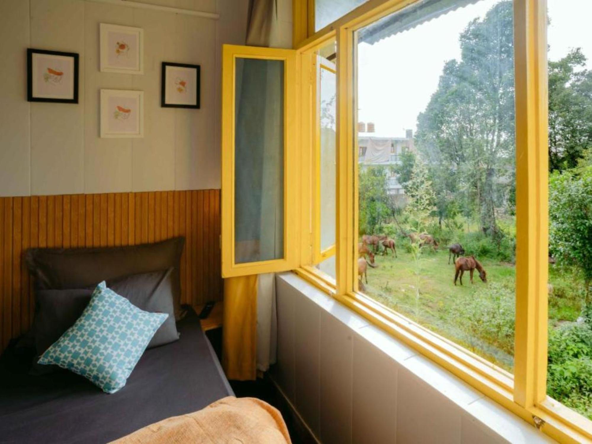 The Hosteller Bir Room photo